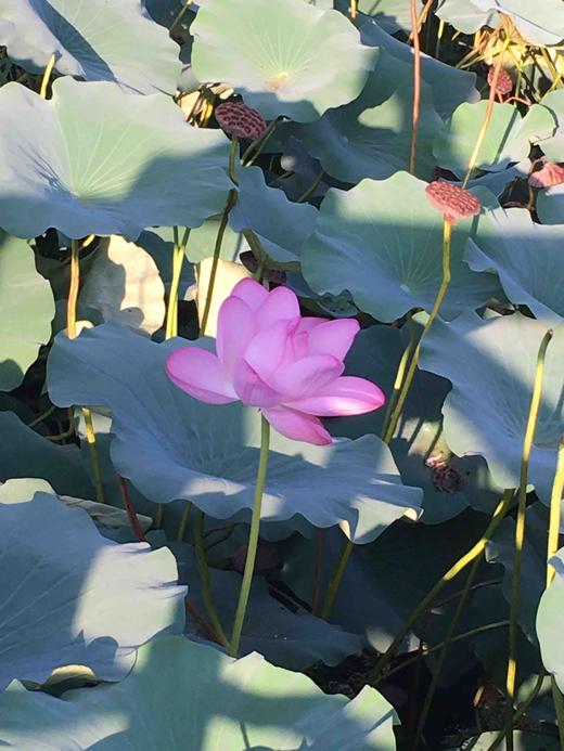 实物售--001 商品图0