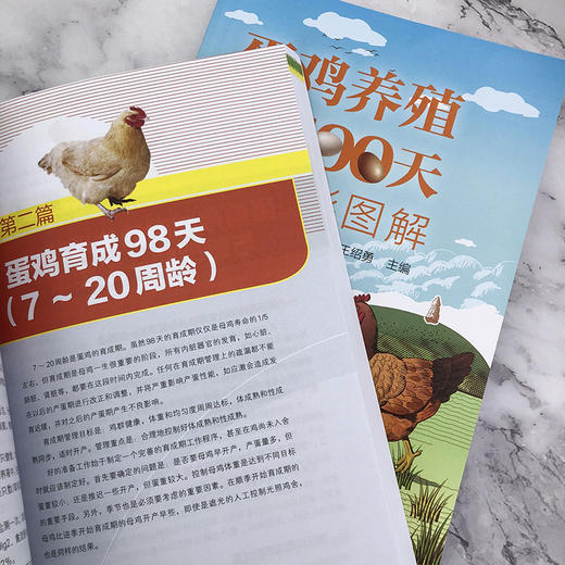蛋鸡养殖500天全彩图解 商品图6