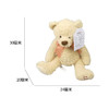 F.A.O.  毛绒小熊 12英寸 米黄  TSFC6000275玩偶 商品缩略图0