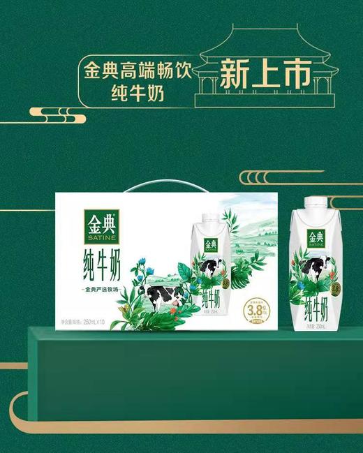 伊利金典梦幻纯牛奶250mlx10盒 商品图0