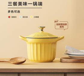 北鼎16CM焖煮锅铸铁珐琅锅家用多功能炖锅迷你小圆锅煮粥