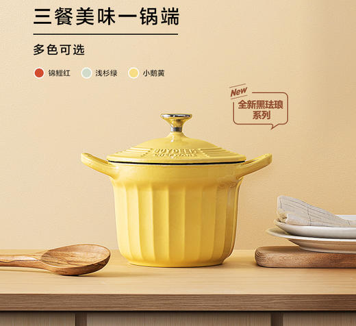北鼎16CM焖煮锅铸铁珐琅锅家用多功能炖锅迷你小圆锅煮粥 商品图0