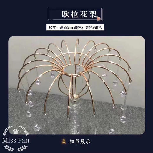 欧拉花架（运费自理） 商品图3