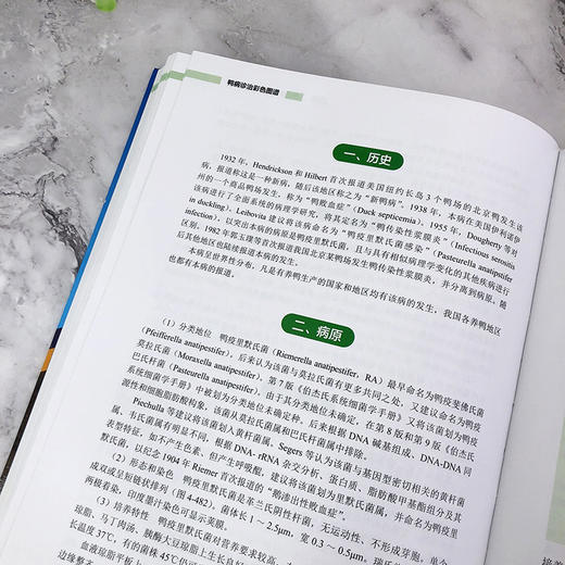 鸭病诊治彩色图谱 商品图10