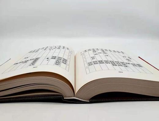 《金石字汇》，精装，16开，近800页，张国维编，内蒙古人民出版社2010年版，定价180元，售价55元。 商品图7