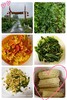"家庭菜篮子"计划 | 2023，小毛驴给你送菜啦  |  初次配送时间（2023年5月中下旬开始配送） 商品缩略图6