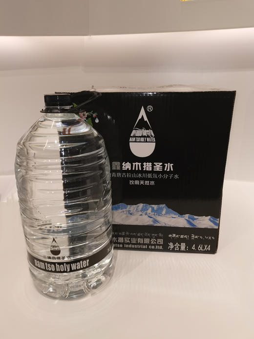 鑫纳木措 天然饮用水圣水整箱 西藏 商品图2