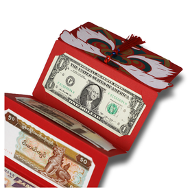 外币红包！含10国10枚纸币