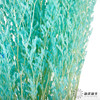 永生花材 ｜ 情人草海盐蓝 商品缩略图1