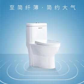 马桶坐便器SZ9204