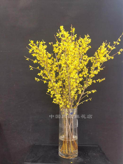 荷兰进口花材寸寸金串串金连翘热卖 商品图9