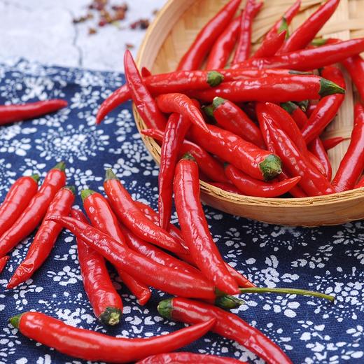 辣椒小米每公斤 商品图0