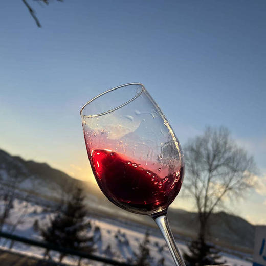 会员专享【包装很土 但味道超好 】蜂蜜葡萄酒  手作葡萄酒  包装土掉渣  酒味醇香，不加二氧化硫的蜂蜜葡萄酒5斤 农家原汁自酿自制 老王私房特制藏酒推荐年货 商品图0