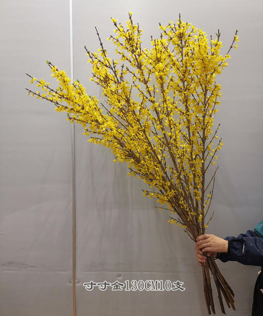 荷兰进口花材寸寸金串串金连翘热卖 商品图2