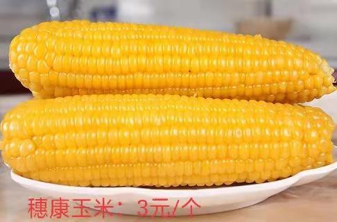 熟玉米 商品图2