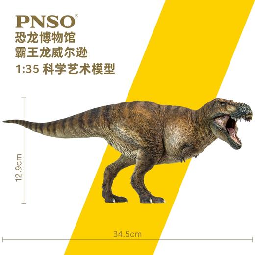 PNSO霸王龙威尔逊恐龙博物馆1比35科学艺术模型 商品图2