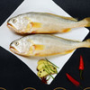 深水大黄鱼约500g 商品缩略图0