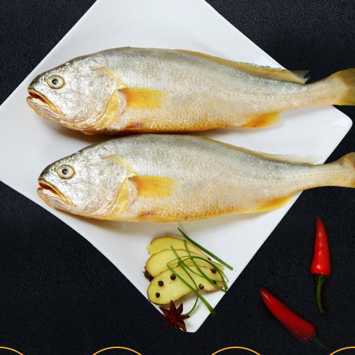 深水大黄鱼约500g 商品图0