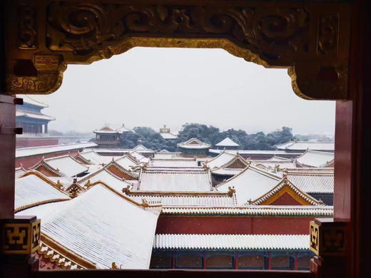 紫禁城600年茶具 雍正磁胎画珐琅芝兰祝寿黄地仿古茶具 商品图7