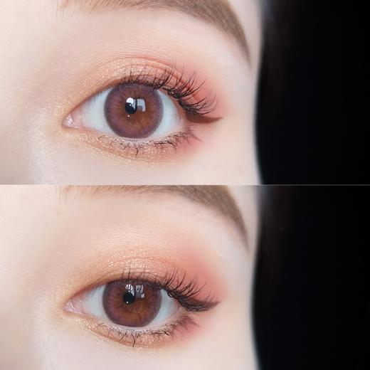 平价年抛丨白叶莓·Budercon丨14.2mm（年抛/2片装） 商品图4