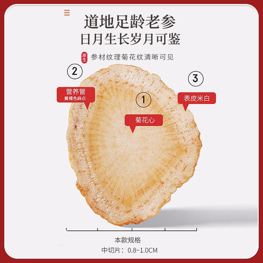 福东海 精选西洋参铁皮石斛黄芪组合280克 商品图3