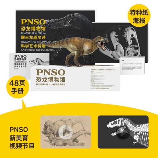 PNSO霸王龙威尔逊恐龙博物馆1比35科学艺术模型 商品图1