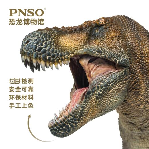 PNSO霸王龙威尔逊恐龙博物馆1比35科学艺术模型 商品图4