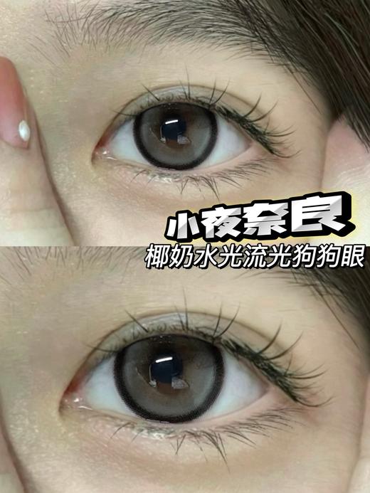 Chaocon单款-小夜奈良 商品图2