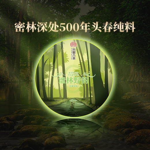 凰馨古茶2022年【谧林野韵】密林古500年普洱生茶357g 商品图0