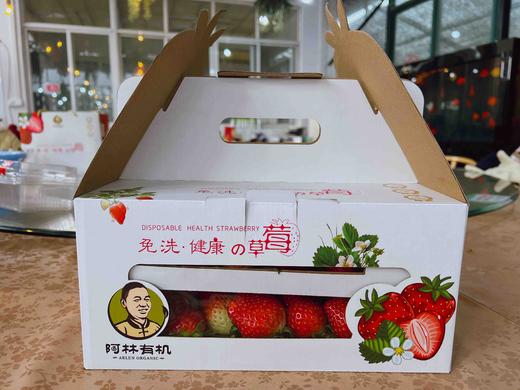 阿林有机草莓3斤装 商品图8