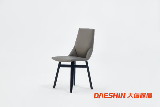 大信餐椅 DX22-026YZ 商品图0