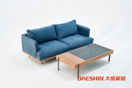 大信沙发 DX-S2008 商品图0