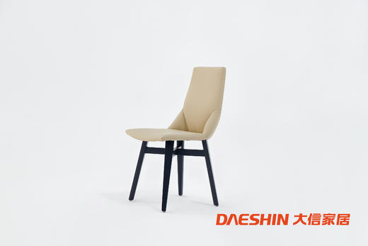 大信餐椅 DX22-026YZ 商品图1