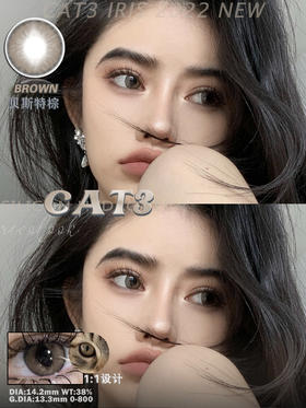 做你的猫系女友