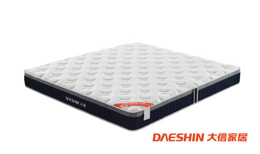 大信床垫 B1001 商品图0