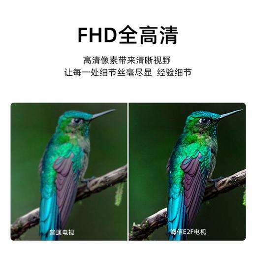 海信电视 43E2F 43英寸 全高清智能投屏 支持WIFI Unibody悬浮全面屏 家用网络液晶平板教育电视机 以旧换新 商品图3