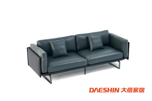 大信沙发 DX-SF307 商品图1
