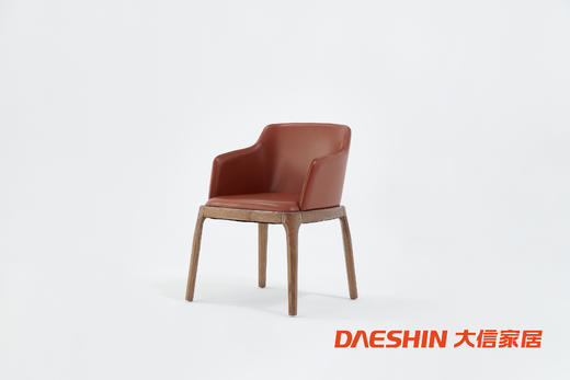 大信餐椅 DX22-036YZ（有扶手） 商品图0