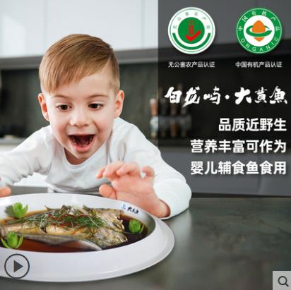 白龙屿大黄鱼【洞头特产】 商品图3