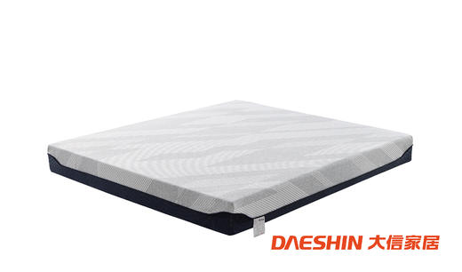 大信床垫 P1004 商品图0