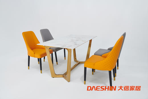 大信餐桌 DX23-031ZZ 商品图0