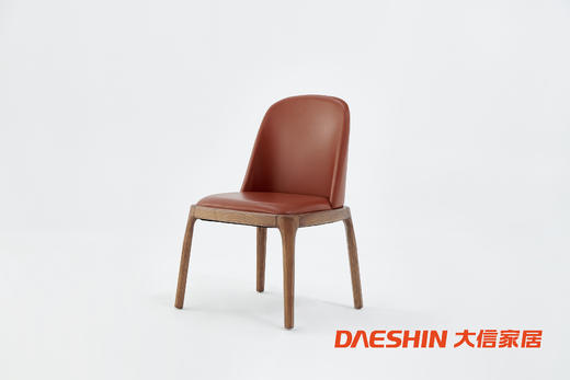 大信餐椅 DX22-036YZ(无扶手) 商品图0