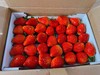 阿林有机草莓3斤装 商品缩略图7