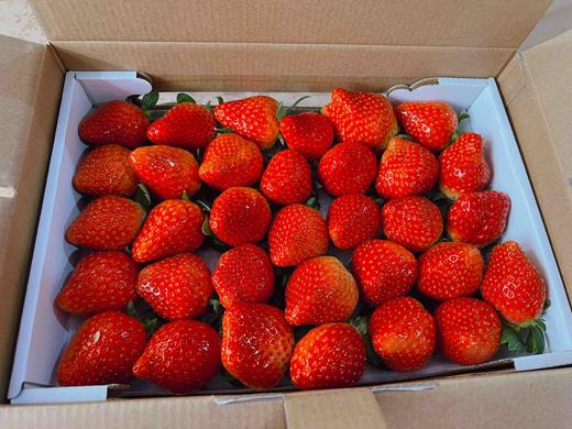 阿林有机草莓3斤装 商品图7