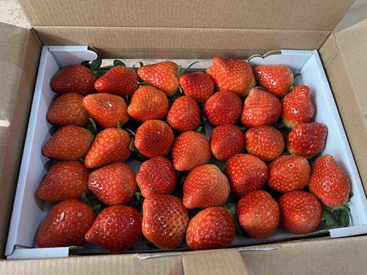 阿林有机草莓3斤装 商品图6