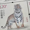 2022虎年生肖邮票 小本票 商品缩略图7