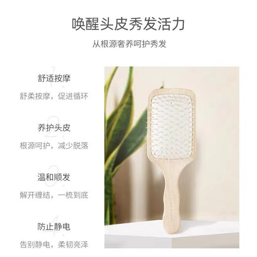 ACCA KAPPA山毛榉木方形按摩梳345 商品图2