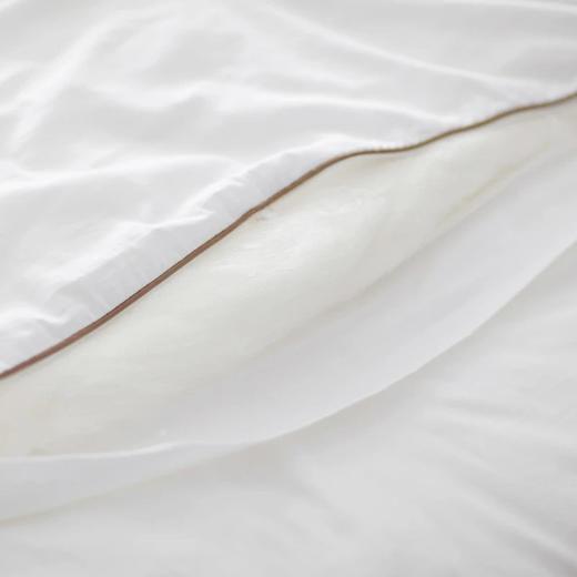 【桑蚕丝净重5斤】金三塔100%桑蚕丝蚕丝被  全棉胎布套（限价款） CSBC750 商品图3