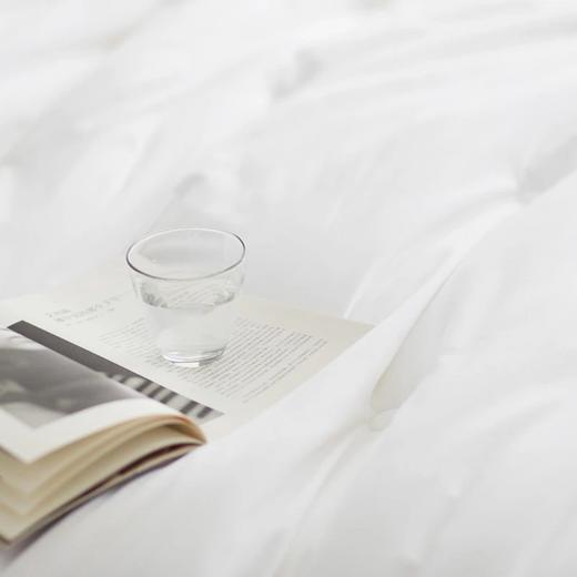 【桑蚕丝净重5斤】金三塔100%桑蚕丝蚕丝被  全棉胎布套（限价款） CSBC750 商品图4