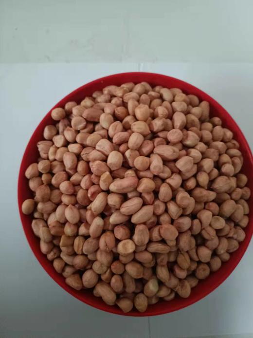 散称花生米 商品图1